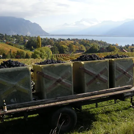 De La Vieille Tour ホテル ラ・トゥール＝ド＝ペ