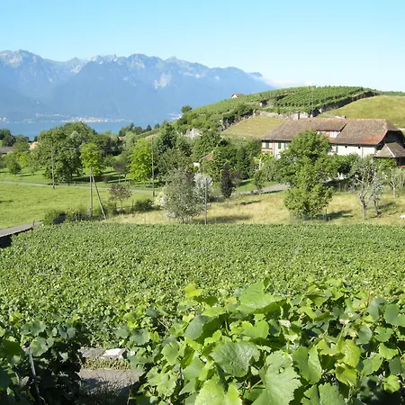 De La Vieille Tour 3* La Tour-de-Peilz