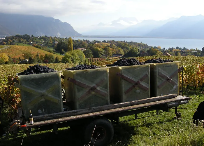 De La Vieille Tour Hotel La Tour-de-Peilz