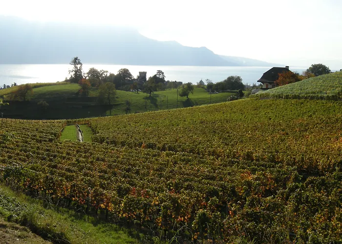 Hotel De La Vieille Tour La Tour-de-Peilz