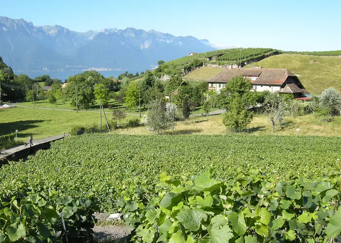 De La Vieille Tour 3* La Tour-de-Peilz